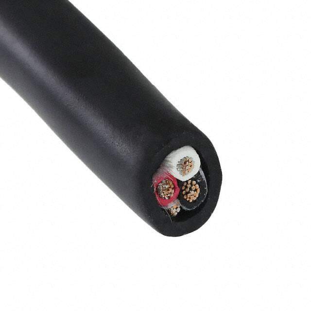 25463 BK199 image
