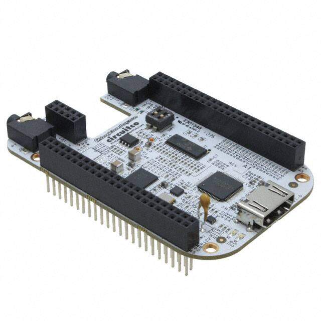 BB-BONE-DVID-02 image