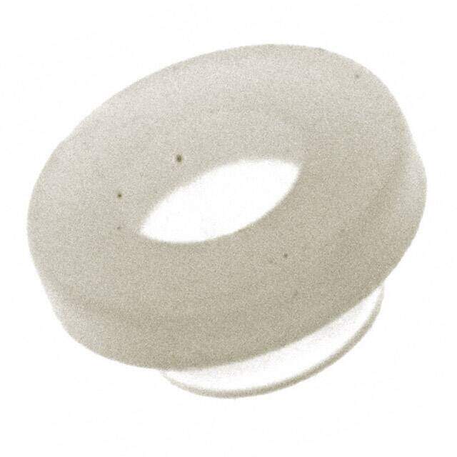 MNI-4-4 image