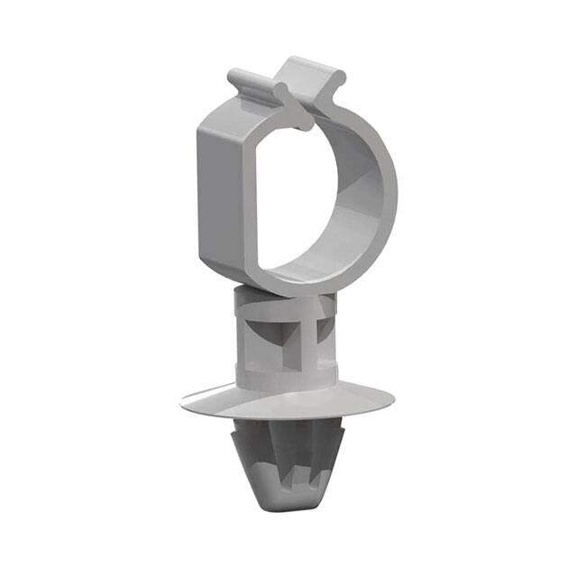 SCCA-2-01 image