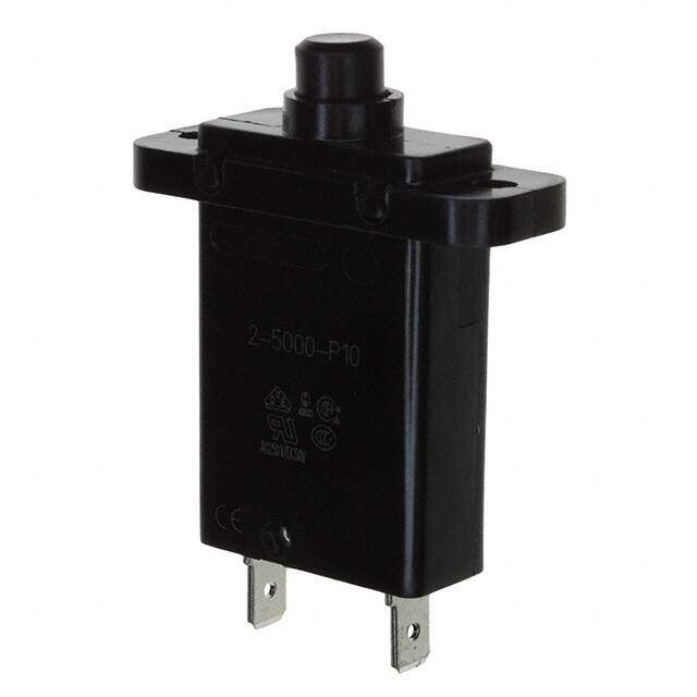 2-5000-P10-15A image