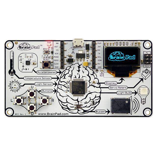 BRAINPAD-BP2 image