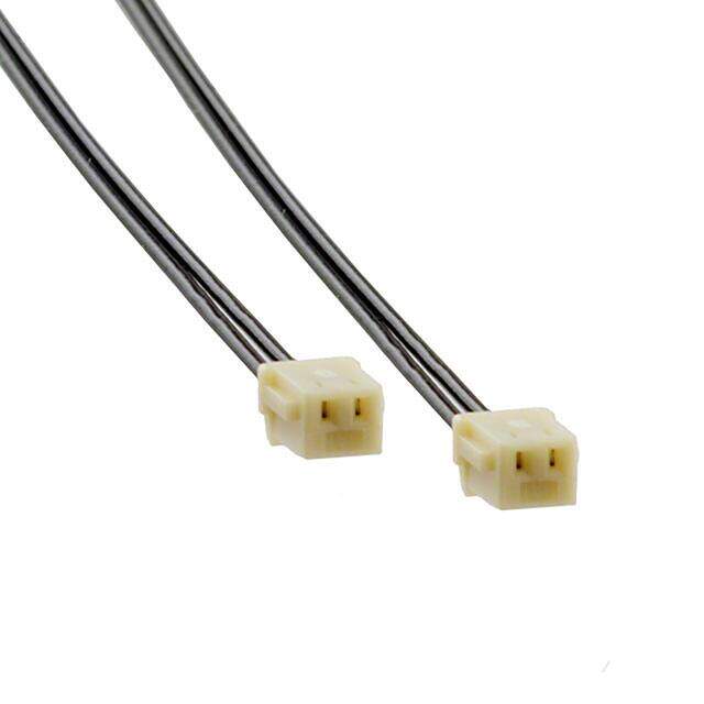 A02SR02SR30K305A image