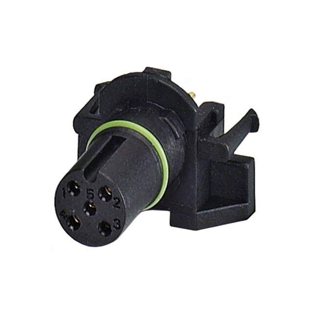1551464 image