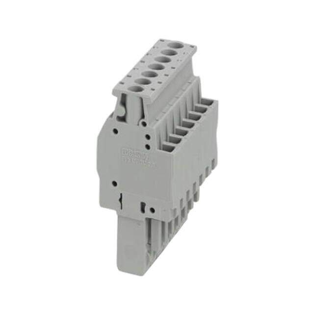 3045457 image