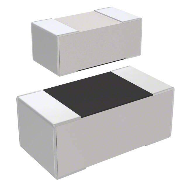 RC1005F241CS