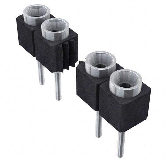 SS-124-TT-2-N image