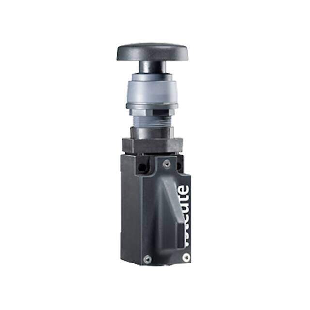STE-1209383RF95 image