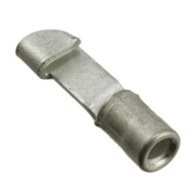 31763 image
