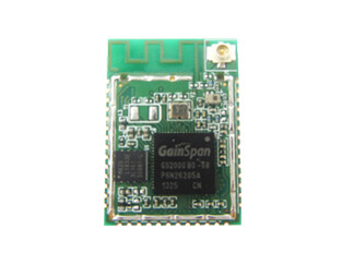GS2100MIP