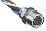 1200310022 image