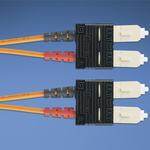 F6D3-3M2Y image