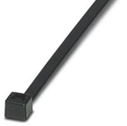3240729 image