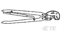 781032 image