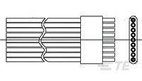 USS009SC2DC018V