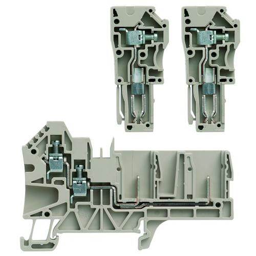 1107680000 image