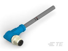 T4161220004-001