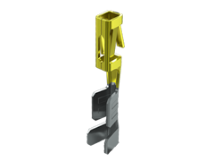 CC79L-2024-1-F