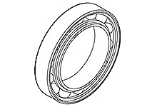 1302261668