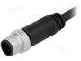 M12A-05BMMM-SL8D01 image