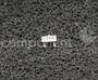 MAX6007AEUR image